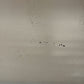 Art Deco Etched Floral Frameless Glass Wall Mirror 20" |