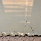 Antique Art Deco Etched Frameless Scalloped Edge Glass Wall Mirror 20"