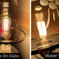 Vintage Floral Leaf Etched Glass Champagne Luster Hurricane Table Lamp