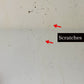 Antique June 3, 1930 Art Deco Etched Floral Dot Leaf Frameless Beveled Edge Shield Mirror 26" Height